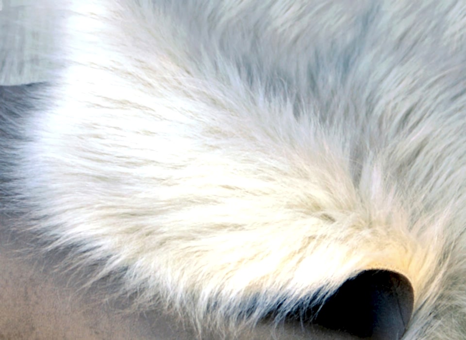 peluş halı yıkama